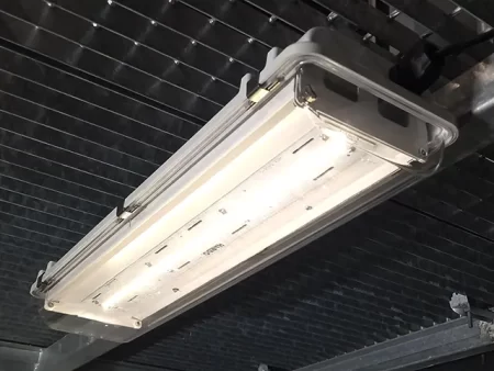 Atex light fitting